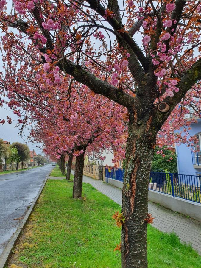 Laguna Apartmanhaz Hévíz Dış mekan fotoğraf