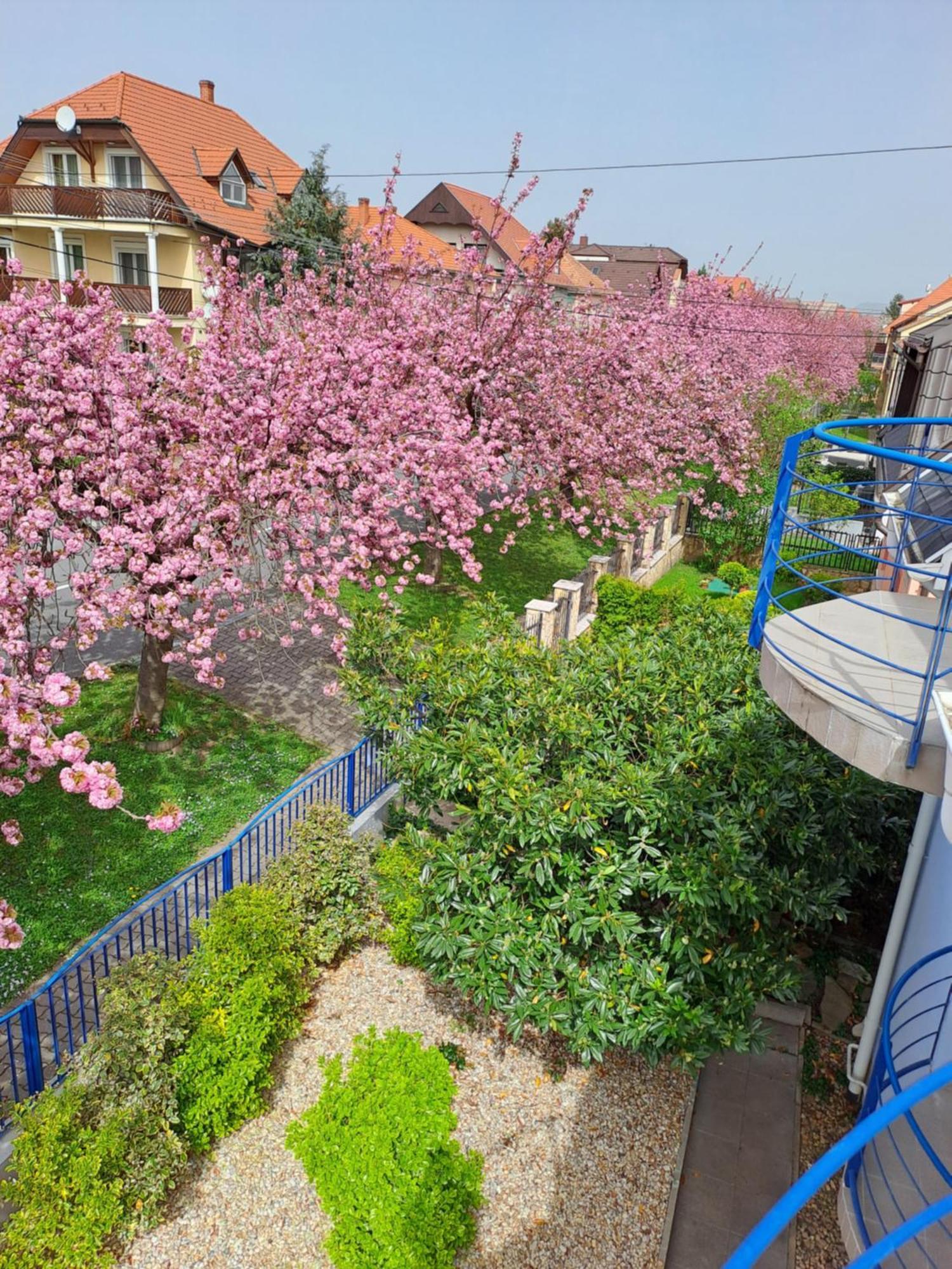 Laguna Apartmanhaz Hévíz Dış mekan fotoğraf